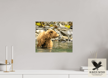 Raven Wind Photography & Illustrations-Watchful Momma Fine Art Wildlife Print -