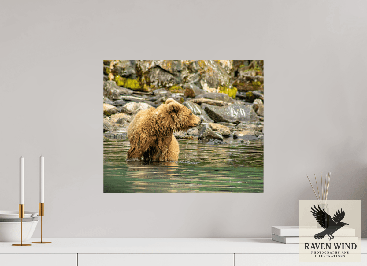 Raven Wind Photography & Illustrations-Watchful Momma Fine Art Wildlife Print -