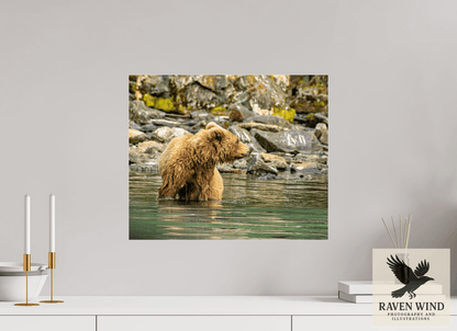 Raven Wind Photography & Illustrations-Watchful Momma Fine Art Wildlife Print -