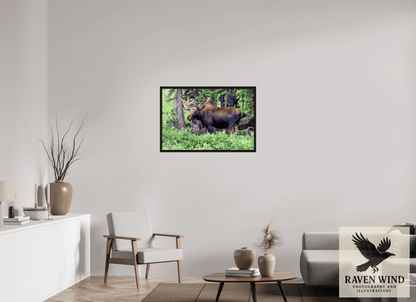 Raven Wind Photography & Illustrations-Watchful Moose Fine Art Wildlife Print -