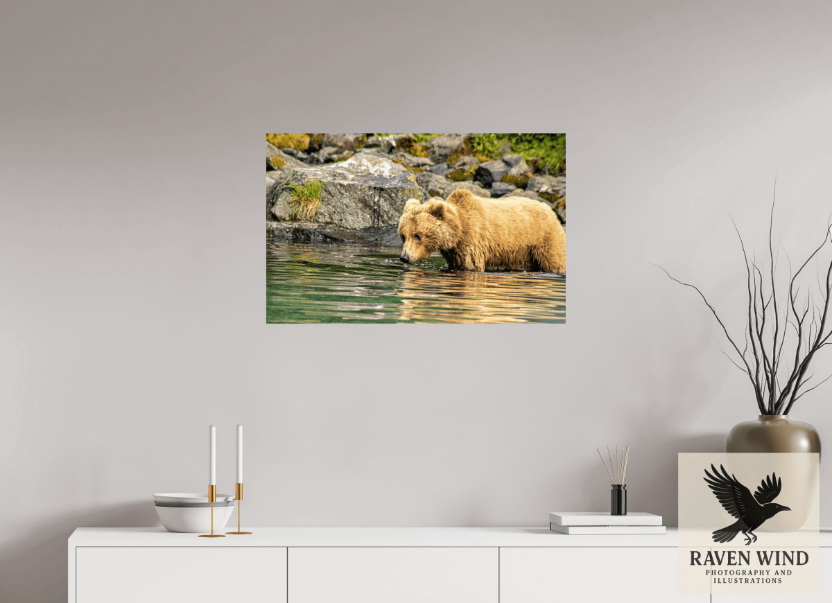 Raven Wind Photography & Illustrations-Wild Focus Fine Art Wildlife Print -