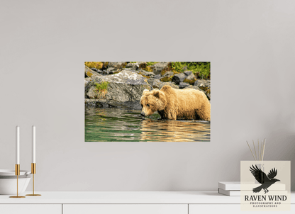 Raven Wind Photography & Illustrations-Wild Focus Fine Art Wildlife Print -