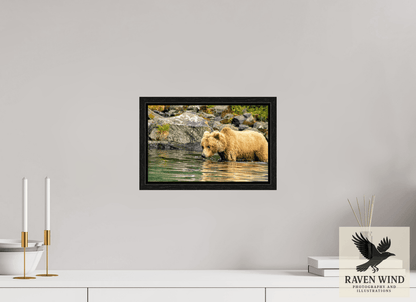 Raven Wind Photography & Illustrations-Wild Focus Fine Art Wildlife Print -