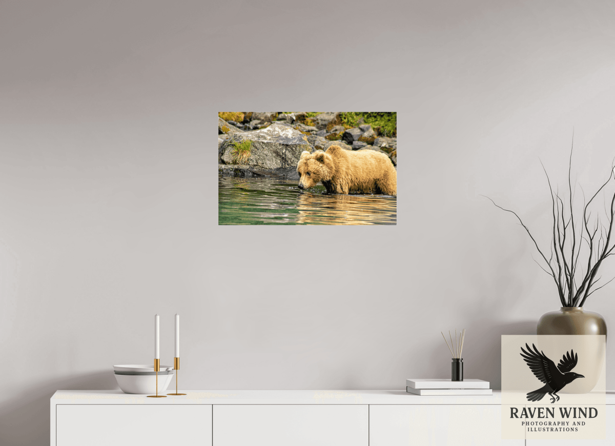 Raven Wind Photography & Illustrations-Wild Focus Fine Art Wildlife Print -