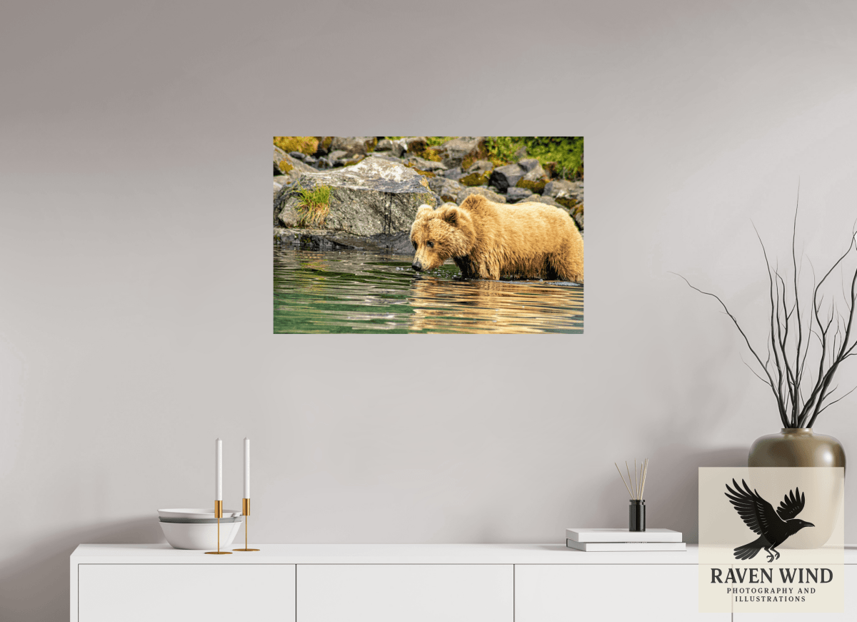 Raven Wind Photography & Illustrations-Wild Focus Fine Art Wildlife Print -