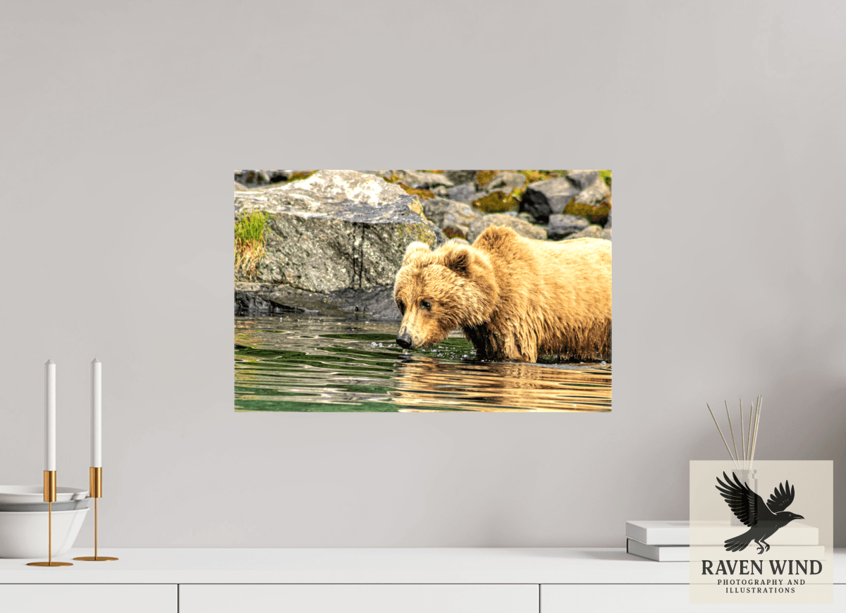 Raven Wind Photography & Illustrations-Wild Focus Fine Art Wildlife Print -