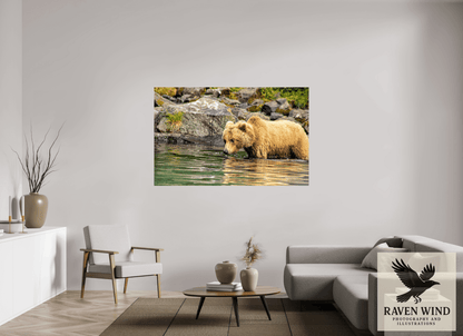 Raven Wind Photography & Illustrations-Wild Focus Fine Art Wildlife Print -