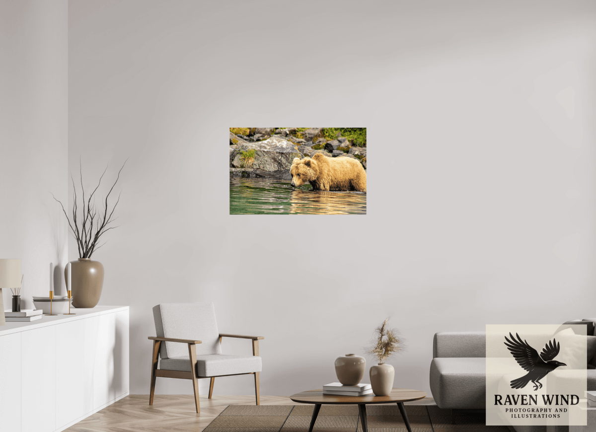 Raven Wind Photography & Illustrations-Wild Focus Fine Art Wildlife Print -