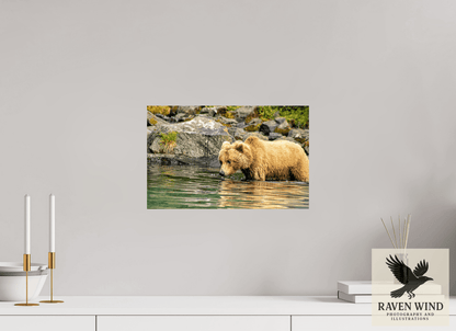 Raven Wind Photography & Illustrations-Wild Focus Fine Art Wildlife Print -