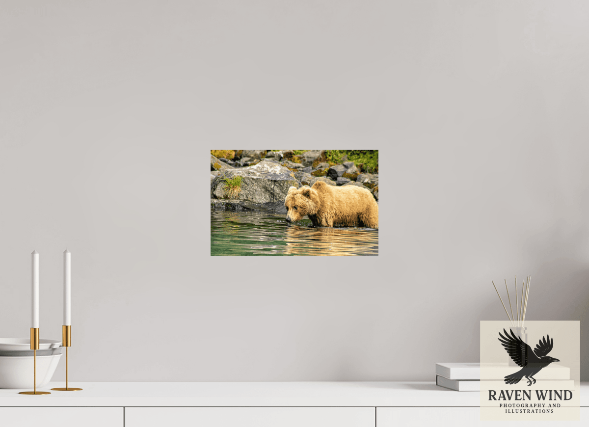 Raven Wind Photography & Illustrations-Wild Focus Fine Art Wildlife Print -