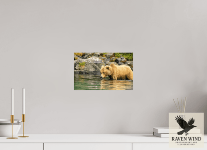 Raven Wind Photography & Illustrations-Wild Focus Fine Art Wildlife Print -