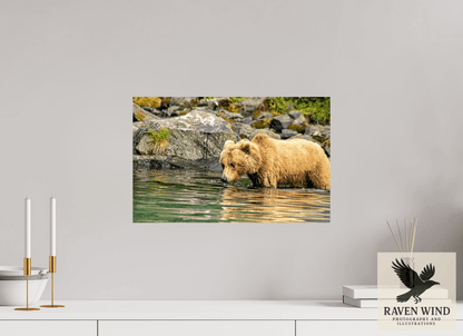 Raven Wind Photography & Illustrations-Wild Focus Fine Art Wildlife Print -