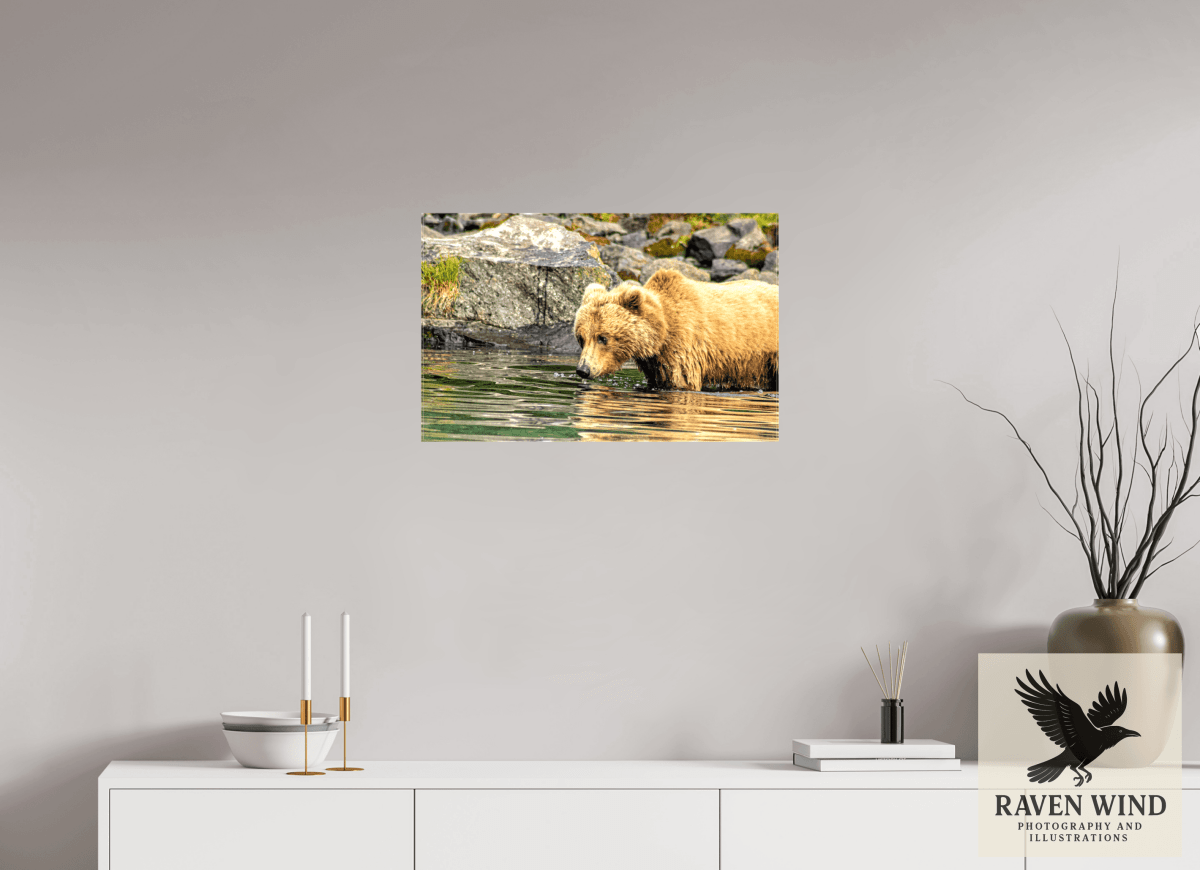 Raven Wind Photography & Illustrations-Wild Focus Fine Art Wildlife Print -