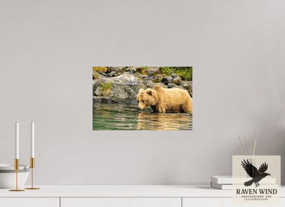 Raven Wind Photography & Illustrations-Wild Focus Fine Art Wildlife Print -