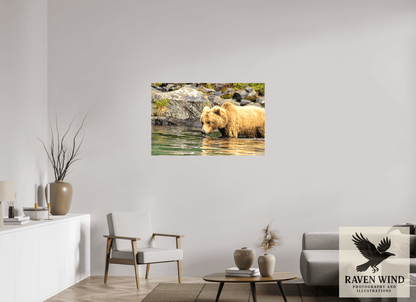 Raven Wind Photography & Illustrations-Wild Focus Fine Art Wildlife Print -