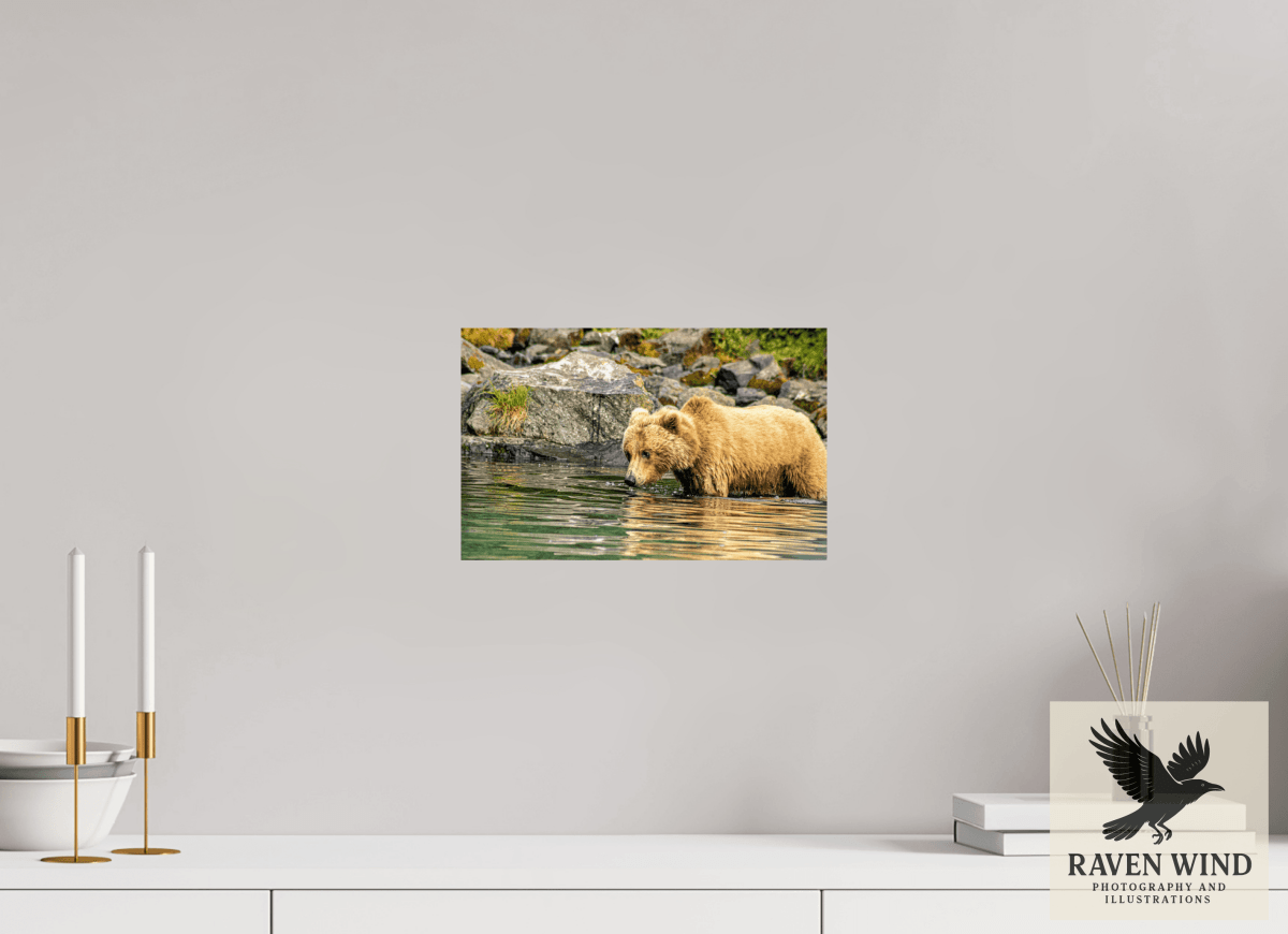 Raven Wind Photography & Illustrations-Wild Focus Fine Art Wildlife Print -