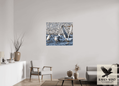 Raven Wind Photography & Illustrations-Wings in Motion - Seagulls on the Kasilof River, Fine Art Wildlife Print -