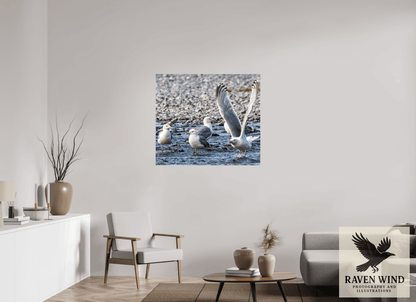 Raven Wind Photography & Illustrations-Wings in Motion - Seagulls on the Kasilof River, Fine Art Wildlife Print -