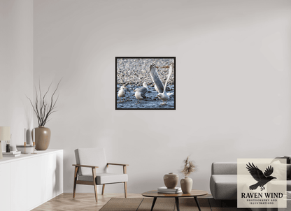 Raven Wind Photography & Illustrations-Wings in Motion - Seagulls on the Kasilof River, Fine Art Wildlife Print -