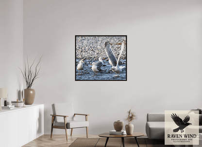 Raven Wind Photography & Illustrations-Wings in Motion - Seagulls on the Kasilof River, Fine Art Wildlife Print -