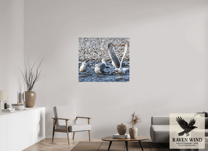 Raven Wind Photography & Illustrations-Wings in Motion - Seagulls on the Kasilof River, Fine Art Wildlife Print -