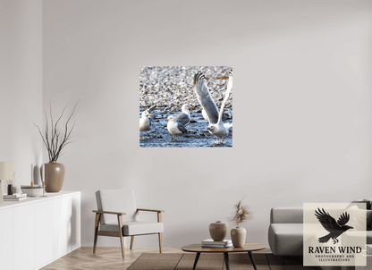 Raven Wind Photography & Illustrations-Wings in Motion - Seagulls on the Kasilof River, Fine Art Wildlife Print -