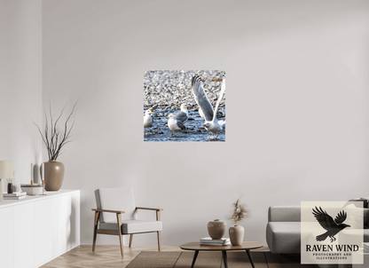 Raven Wind Photography & Illustrations-Wings in Motion - Seagulls on the Kasilof River, Fine Art Wildlife Print -
