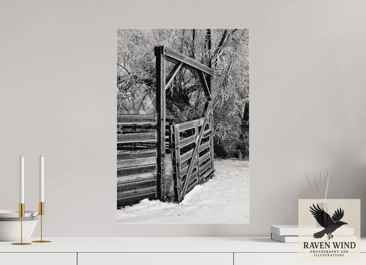 Raven Wind Photography & Illustrations-Winter Gate Black and White Fine Art Nature Print -